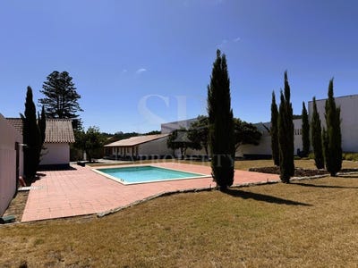 /international/pt/rolica-leiria-310108967146/