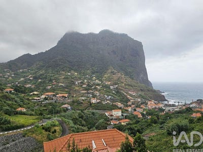/international/pt/ilha-da-madeira-madeira-310102109960/