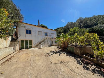 /international/pt/quinta-do-anjo-setubal-municipality-310100663841/