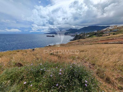 /international/pt/canical-machico-madeira-310105718938/
