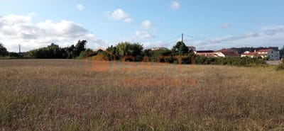 /international/pt/maiorca-coimbra-310100487671/