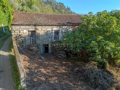 /international/pt/covelas-cinfaes-portugal-ferreiros-de-tendais-viseu-310103638758/