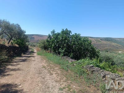 /international/pt/braganca-braganca-310107090184/