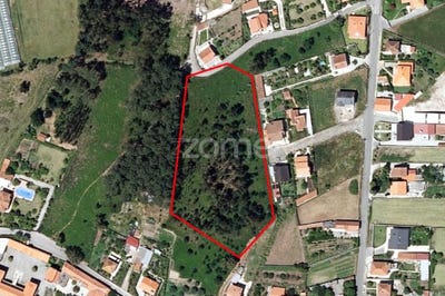 /international/pt/viana-do-castelo-viana-do-castelo-310094938749/