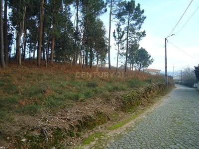 /international/pt/alheira-e-igreja-nova-braga-120091022041/