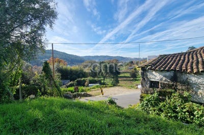 /international/pt/braga-braga-310108420018/