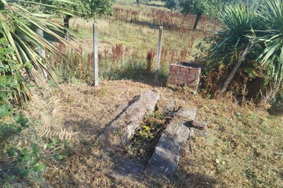 /international/pt/mangualde-viseu-310101945800/
