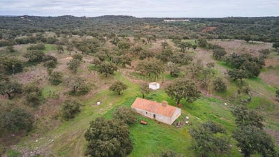 /international/pt/2c4q-78-sao-bartolomeu-da-serra-portugal-abela-setubal-municipality-310108894481/