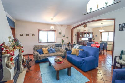 /international/pt/bustos-troviscal-e-mamarrosa-oliveira-do-bairro-aveiro-310096967468/