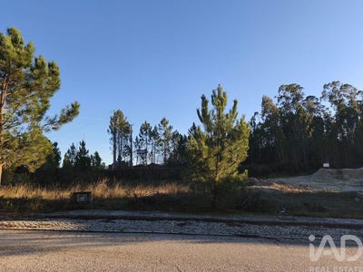 /international/pt/leiria-leiria-310104565251/