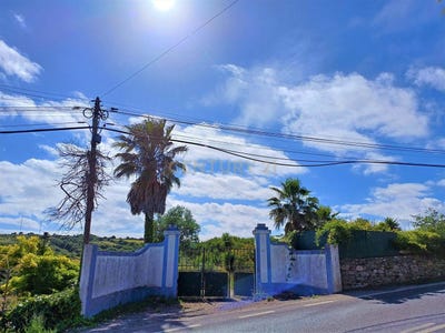 /international/pt/sao-joao-das-lampas-e-terrugem-lisbon-310094784006/