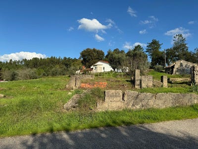 /international/pt/almagreira-leiria-310096196795/