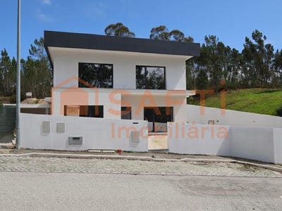 /international/pt/ansiao-leiria-310098735399/