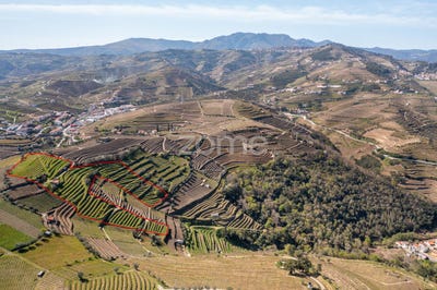 /international/pt/santa-marta-de-penaguiao-vila-real-120086830591/?lang=zh-tw