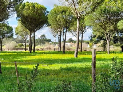 /international/pt/setubal-setubal-municipality-310097770546/