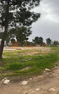 /international/pt/fernao-ferro-setubal-municipality-310106388459/