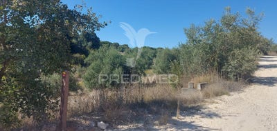 /international/pt/achete-azoia-de-baixo-e-povoa-de-santarem-santarem-santarem-310095136657/