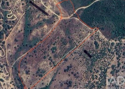 /international/pt/boavista-dos-pinheiros-beja-310105073478/