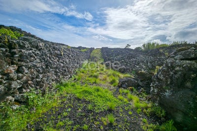 /international/pt/madalena-azores-310100673283/?lang=en