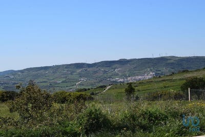 /international/pt/carnota-lisbon-310101184260/?lang=zh-tw