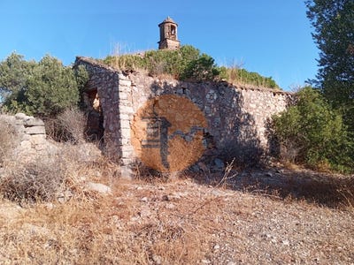 /international/pt/santo-estevao-santarem-310105010045/