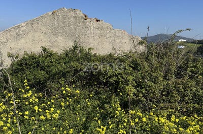 /international/pt/mafra-lisbon-310107766202/