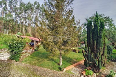/international/pt/oliveira-de-azemeis-aveiro-310097212119/