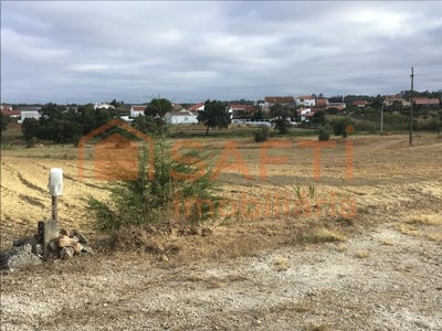 /international/pt/paialvo-santarem-310100492488/