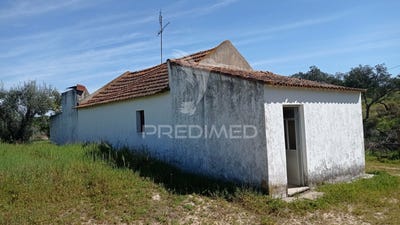 /international/pt/couco-coruche-santarem-120083232470/