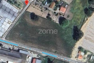 /international/pt/salvaterra-de-magos-santarem-310106164415/