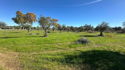 /international/pt/n240-70-6060-259-ladoeiro-portugal-ladoeiro-castelo-branco-310105185864/
