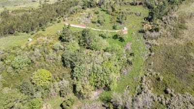 /international/pt/evora-de-alcobaca-leiria-310101018010/