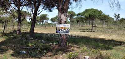 /international/pt/melides-grandola-setubal-municipality-310096780652/
