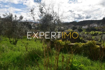 /international/pt/leiria-leiria-310108421206/