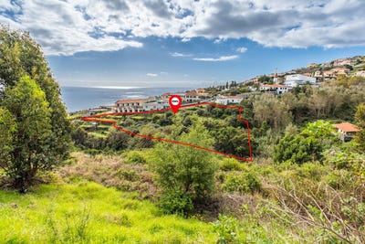 /international/pt/gaula-madeira-310105950097/