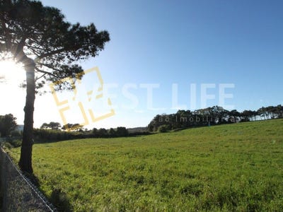 /international/pt/ericeira-lisbon-310108453261/