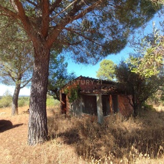 /international/pt/xf47-8w-tinalhas-portugal-tinalhas-castelo-branco-310105419929/