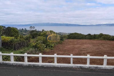 /international/pt/calheta-de-nesquim-azores-310102462227/