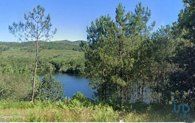 /international/pt/viana-do-castelo-viana-do-castelo-310100295060/