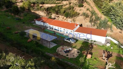 /international/pt/alferce-faro-310103511956/