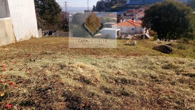/international/pt/pedroso-porto-120082073003/