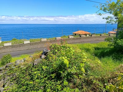 /international/pt/sao-vicente-madeira-310106262665/