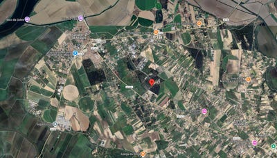 /international/pt/salvaterra-de-magos-santarem-310108323093/