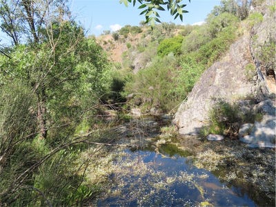 /international/pt/castelo-branco-braganca-310096027795/