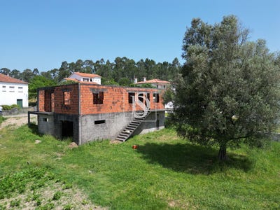 /international/pt/fontao-viana-do-castelo-310099682555/