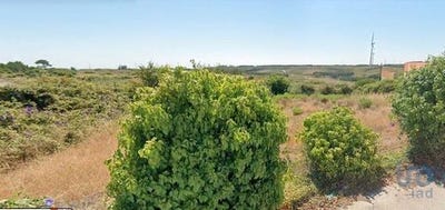 /international/pt/peniche-leiria-120097026992/