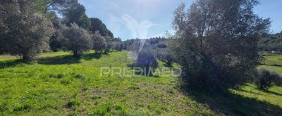 /international/pt/arneiro-das-milharicas-santarem-santarem-120089255369/