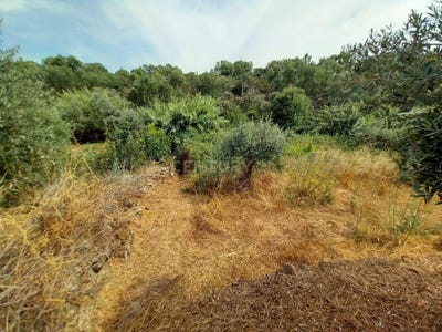 /international/pt/r-do-marques-de-pombal-6-6000-630-portugal-salgueiro-do-campo-castelo-branco-310105230767/