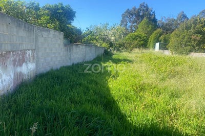 /international/pt/oliveira-do-bairro-aveiro-310107520298/