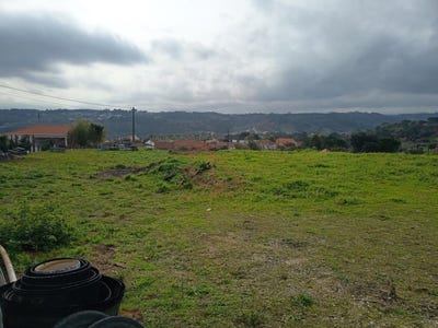 /international/pt/olival-setubal-municipality-310108861498/